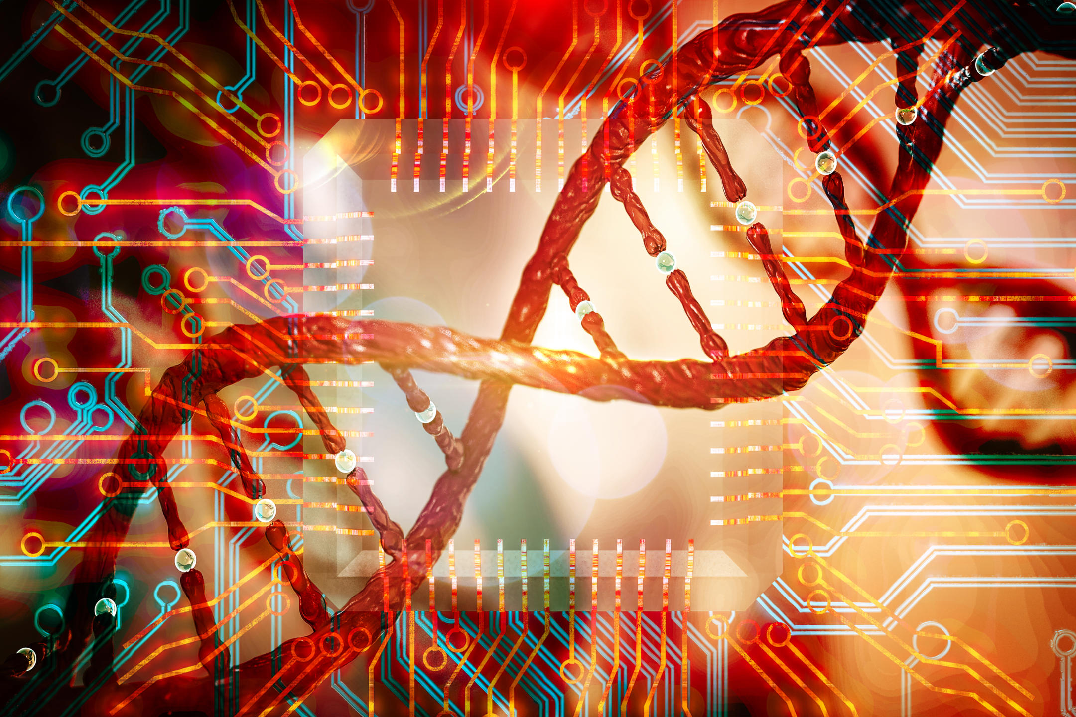 Bioinformatics and Health Systems
